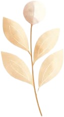 a white flower with a stem on a white background 1.jpg